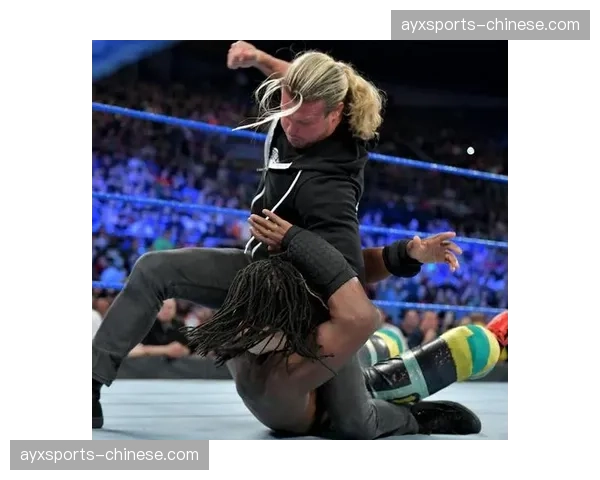 布瑞·贝拉回归，贝拉姐妹将目光锁定WWE女子双打冠军